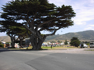 Apollo Bay