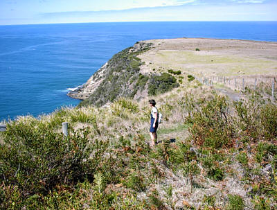 Volcanic Trail