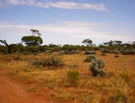 Outback
