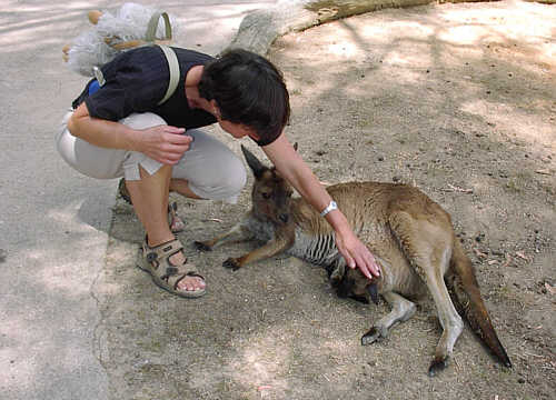 Wildlife Park Ballarat