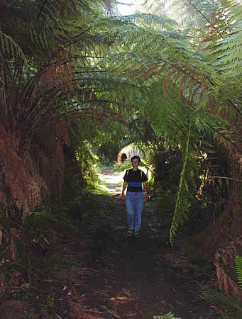 Yarra Ranges Nationalpark
