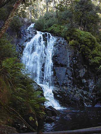 Steavenson Falls