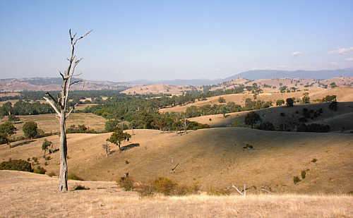 bei Mansfield