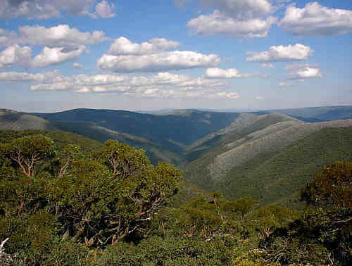 Mount Hotham Danny�s Lookout