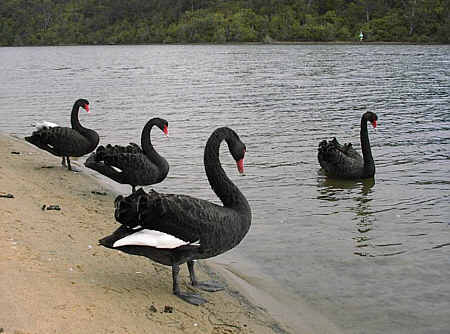 Lake Entrance