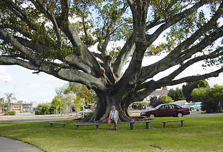 Moruya