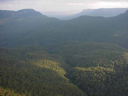 Blue Mountains Nationalpark