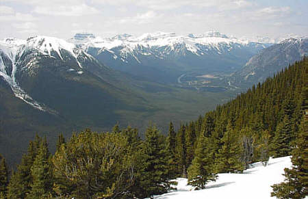 Sulphur Mountain