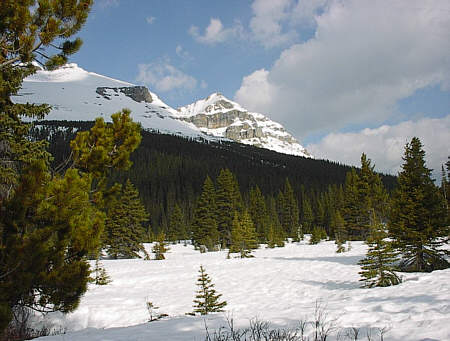 Bow Summit