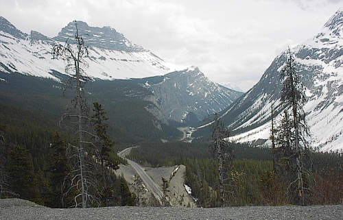 Sunwapta Pass