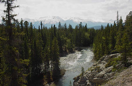 Maligne River