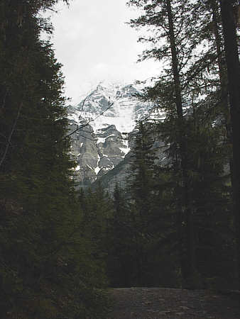 Mount Robson