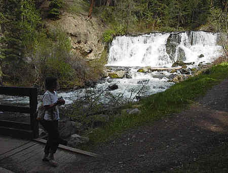 Creek Falls