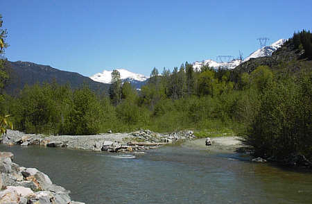 Whistler