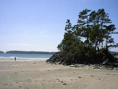 Tofino