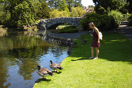 Beacon Hill Park