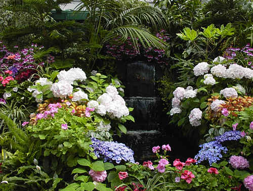 Butchart Gardens