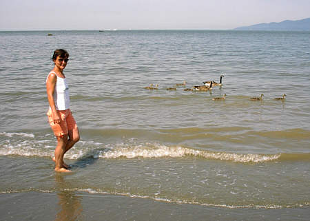 Jericho Beach