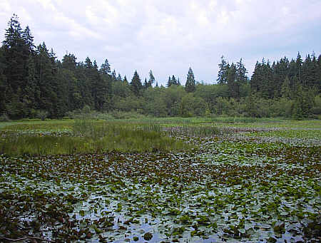 Stanley Park