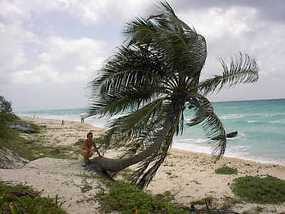 Hotel Viva Maya Beach- Strand