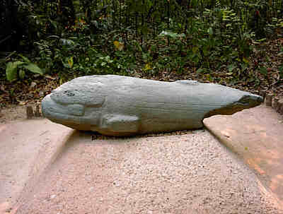 Delphin -  es ist erstaunlich, wie gut der Delphin bekannt war