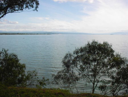 Taupo