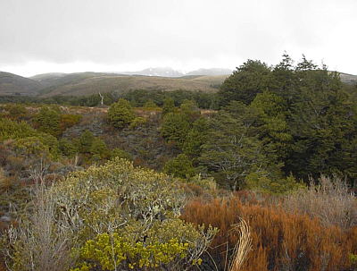 Tongariro Nationalpark