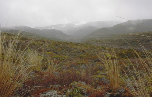 Tongariro Nationalpark