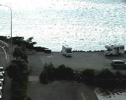 Wellington
