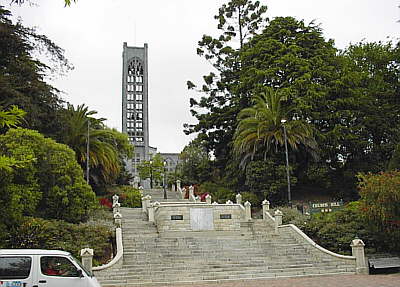 Nelson