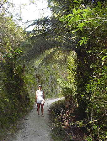 Abel Tasman Nationalpark