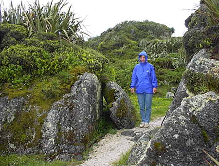 Cape Foulwind