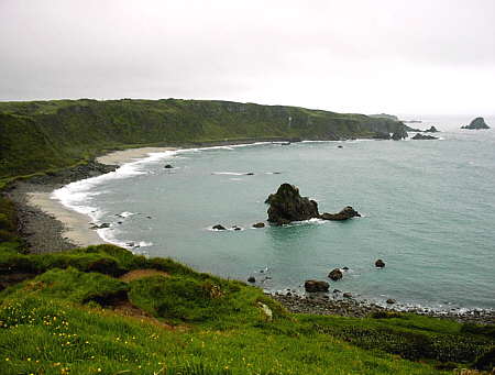Cape Foulwind