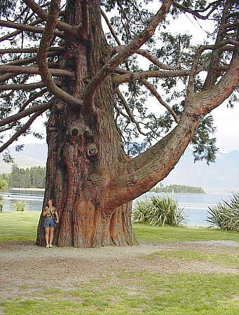 Queenstown