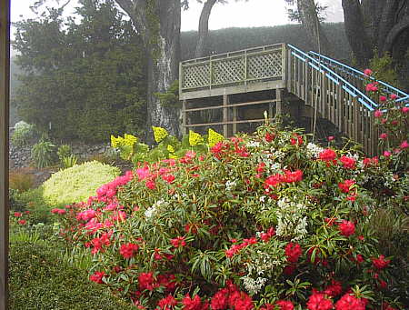 Otago Peninsula