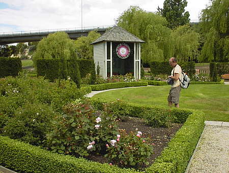 Timaru