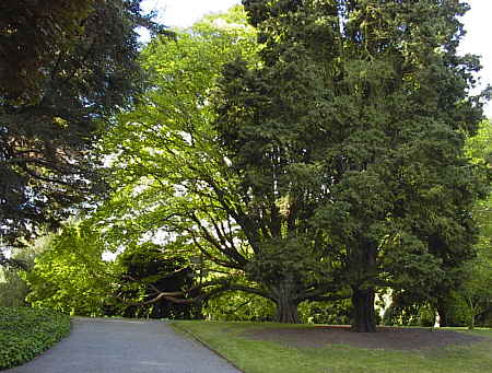 Christchurch