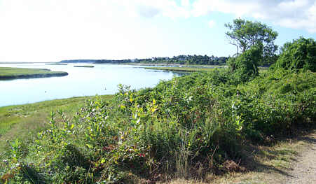 Cape Cod