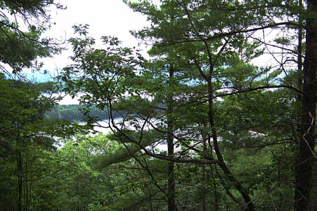 Wellington State Park