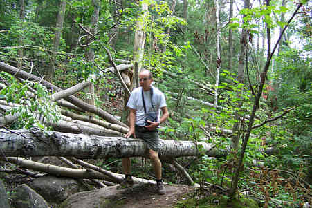 Mc Kenzie Mountain Area