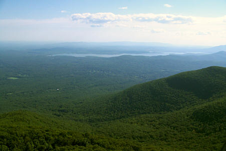 Overlook Mountain Forest