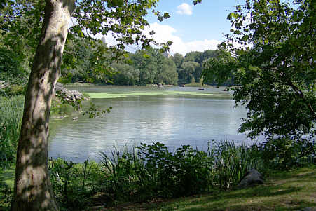 Central Park