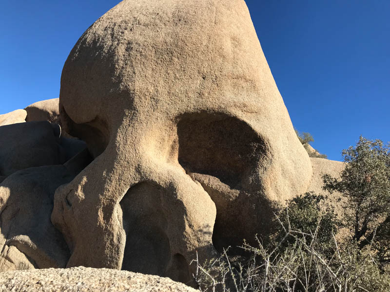 Joshua Tree Nationalpark Skull Rock