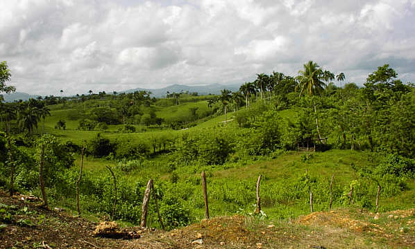 Laguna Jeep Safari