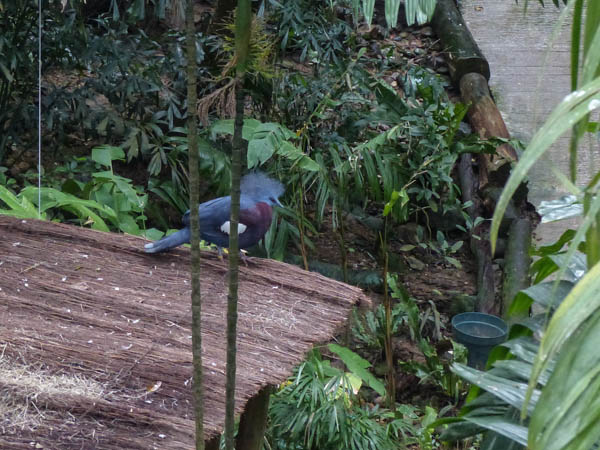 Hong Kong Park