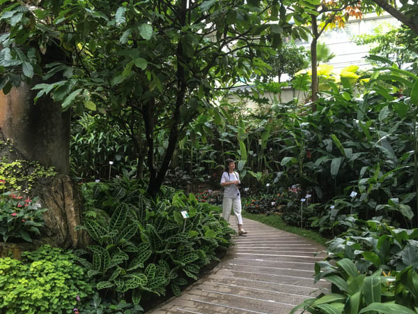 Hong Kong Park