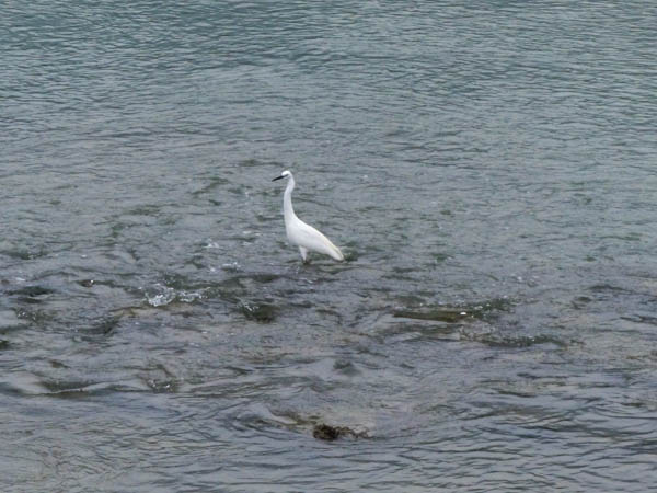 Hong Kong Tai O