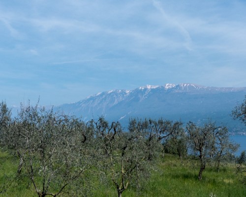 gardasee