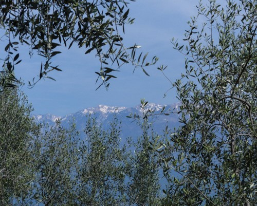 gardasee