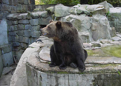 Knigsberg Zoopark
